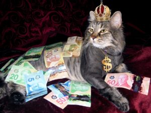 silver, pet, cat, richness, canadian money, naked man, silver, richness, canadian money, canadian money, canadian money, canadian money, animal, canadian money